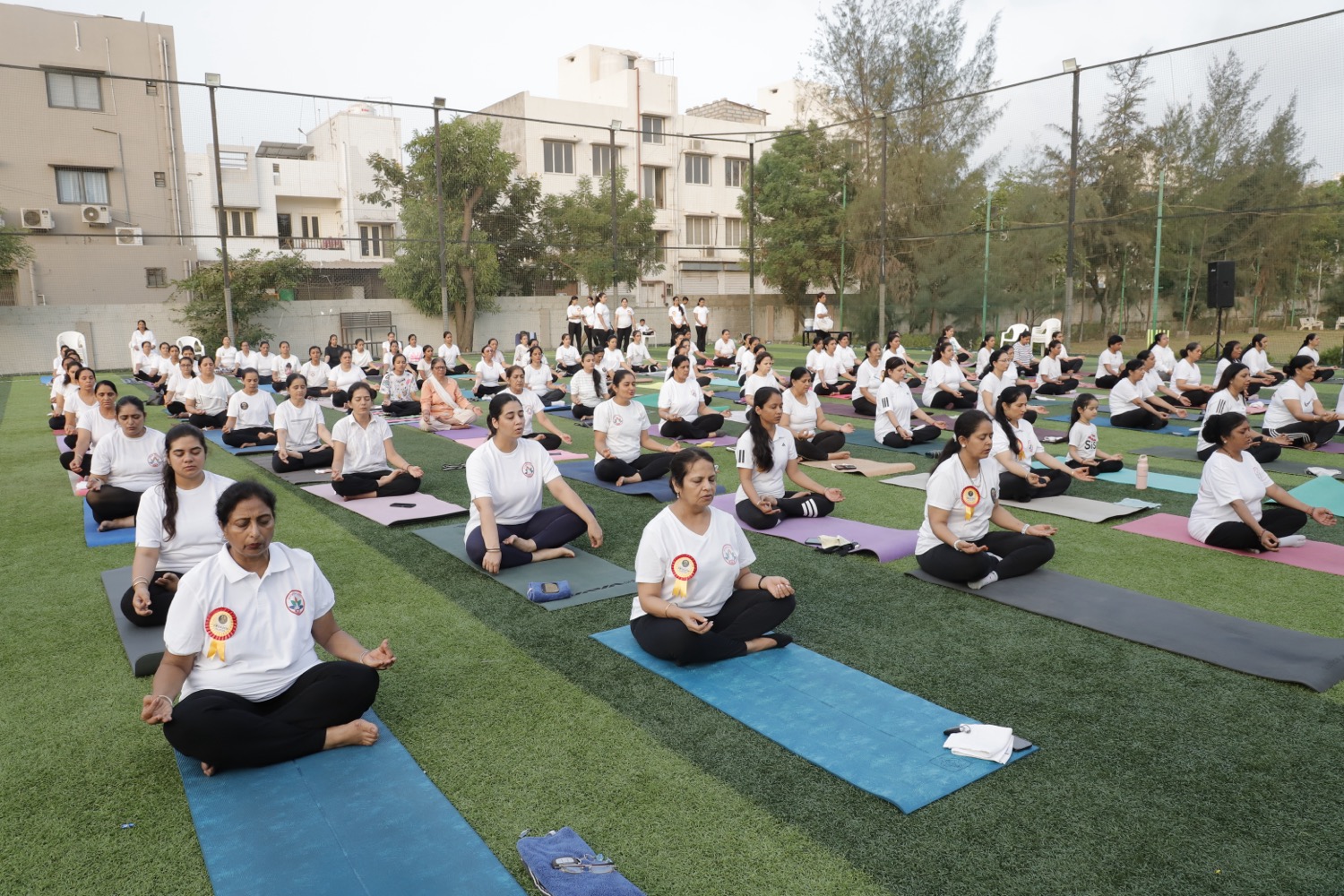 A large group practising yoga together outdoors with Utsavyogi.com